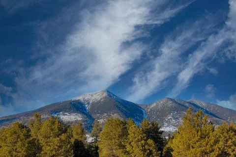 A winter scene of pine trees, snow on the ground and Mt.  Humphreys. Stock Photos