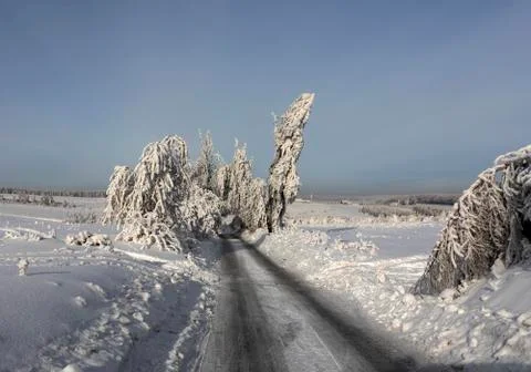 Winter scene, road Stock Photos