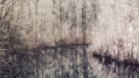 A winter scene at a samall river in der forrest Stock Photos