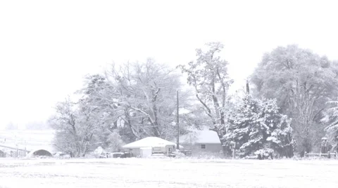 Winter Scene with Seamless Snow Loop 스톡 동영상 44206830