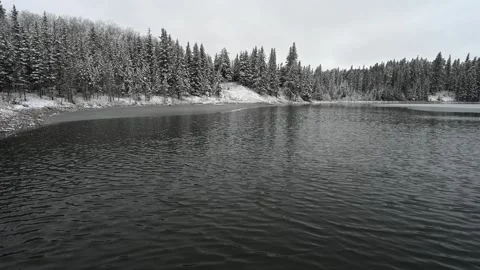 A winter scene at a small lake that is surrounded by spruce trees  Stock Footage 280874637