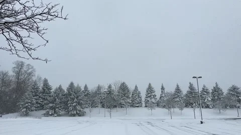 Winter scene with snow fall in slow motion Stock Footage 231928173