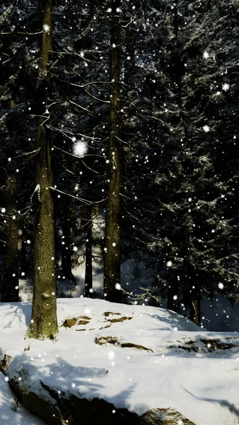 Winter scene with snow falling in a forest during the day Stock Footage 334172222