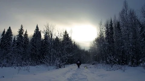 Winter Scene Snowfall. Hiker Winter Tourism Stock Footage 82527460
