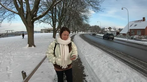 Winter Scene with Snowy Path and Trees Stock Footage 335588415
