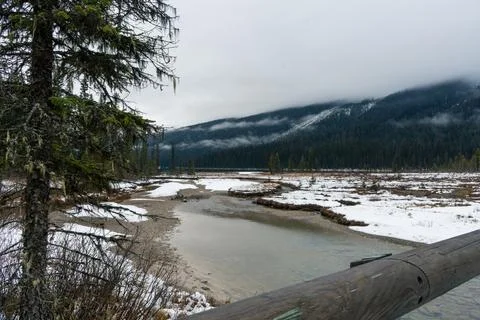 Winter scene with a stream running through a snowy marshy landscape. Stock Photos