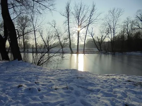 Winter scene: sun shining through trees on frozen water surface. Stock Photos
