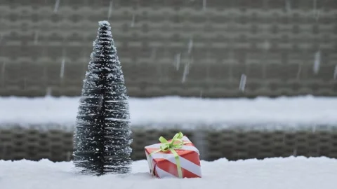 Winter scene: tiny evergreen tree and gift in fresh snow, fence in background Stock Footage 344690048
