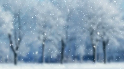 Winter Scenery And Falling Snow Vidéo 94665381