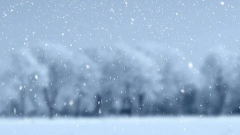 Winter Scenery And Falling Snow Vidéo 94665492