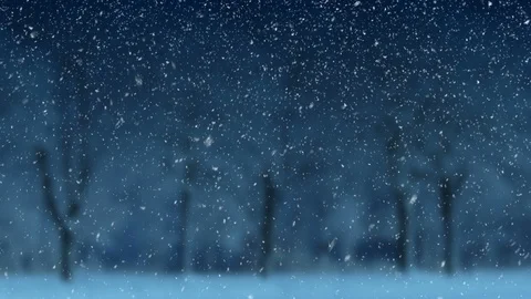 Winter Scenery And Falling Snow Vidéo 94665659