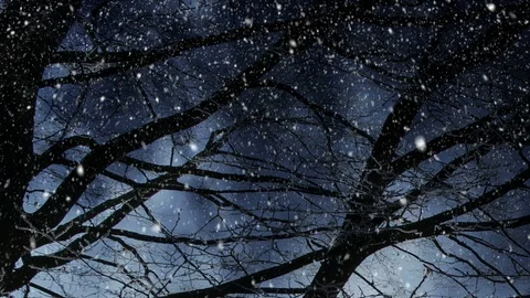 Winter Scenery And Falling Snow Vídeos de archivo 95272660