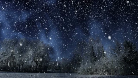 Winter Scenery And Falling Snow Vidéo 95272820