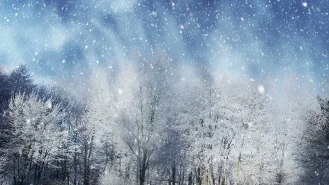 Winter Scenery And Falling Snow Stock Footage 95273023