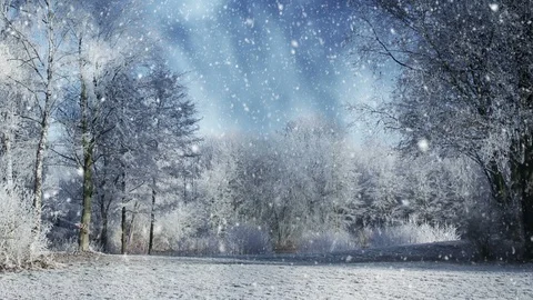 Winter Scenery And Falling Snow 库存影片 95273183