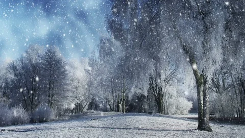 Winter Scenery And Falling Snow 库存影片 95273422