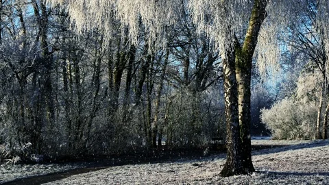 Winter Scenery And Falling Snow 스톡 동영상 95275118