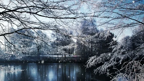 Winter Scenery And Falling Snow 스톡 동영상 95275698