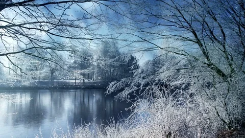Winter Scenery And Falling Snow Stock-Footage 95526358