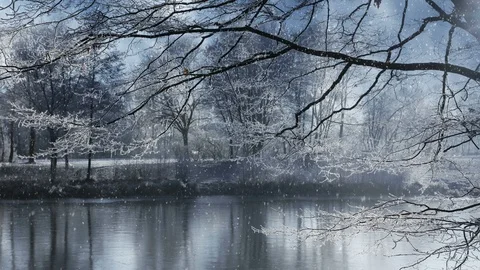 Winter Scenery And Falling Snow Stock-Footage 95526983