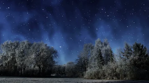 Winter Scenery And Falling Snow Stock-Footage 95527102