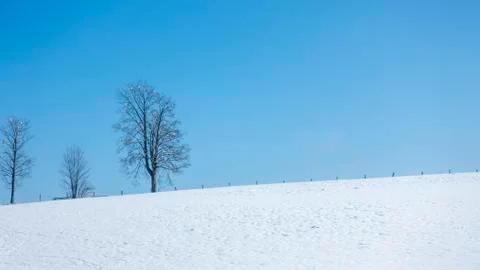 Winter scenery background Stock Photos