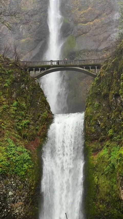 Winter scenery of the beautiful Multnomah Falls in the Columbia River Gorge. Stock Footage 339251275