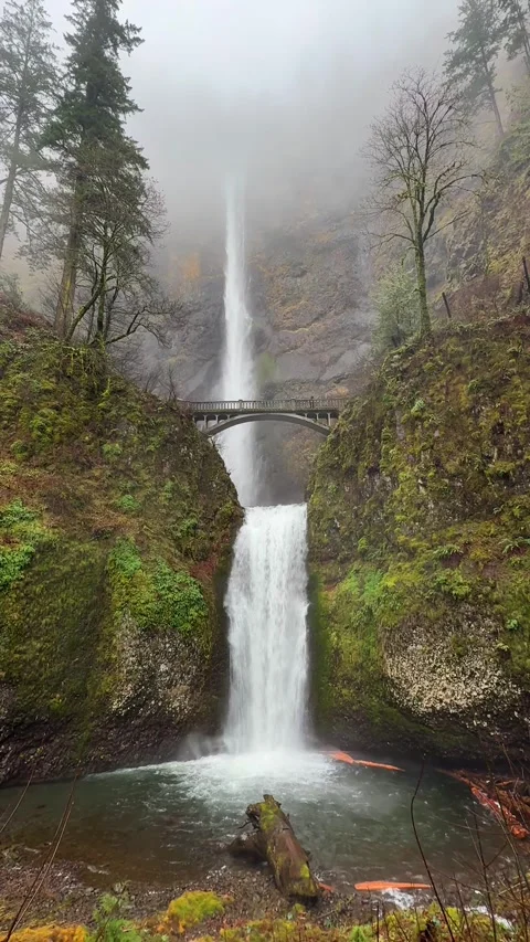 Winter scenery of the beautiful Multnomah Falls in the Columbia River Gorge. Stock Footage 339251276