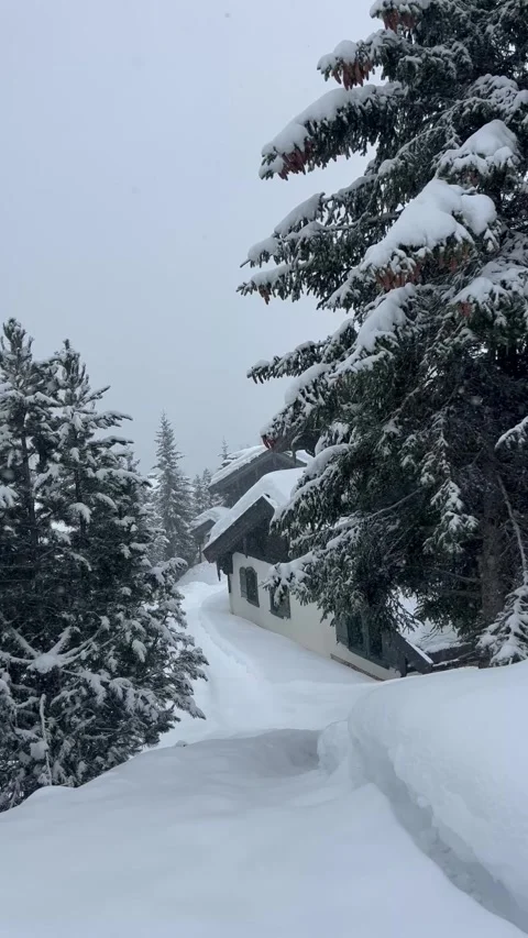 Winter scenery with chalets and pine trees on a snowing day Stock Footage 336966843