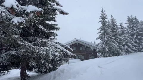 Winter scenery with chalets and pine trees on a  snowing day Stock Footage 336966890