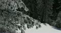 Winter Scenery Fir Woods Landscape in the Mountains Alpine European Destination HD Footage