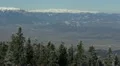 Winter Scenery Fir Woods Mountain Cliff Chilly Weather Panoramic Aerial View Day HD Footage