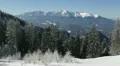 Winter Scenery Fir Woods Mountain Cliff Chilly Weather Panoramic Aerial View Day HD Footage