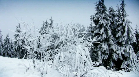 Winter scenery Stock-Footage 316275