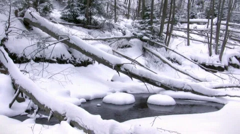 Winter scenery Stock-Footage 661513