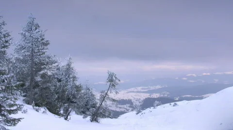 Winter scenery Stock-Footage 673248
