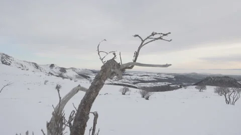 Winter Scenery Stock-Footage 86090370