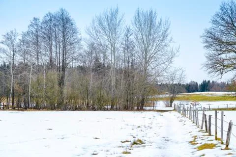 Winter scenery Osterseen Stock Photos