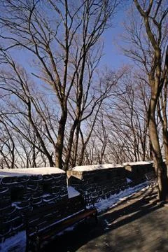 Winter scenery; in the park Stock Photos
