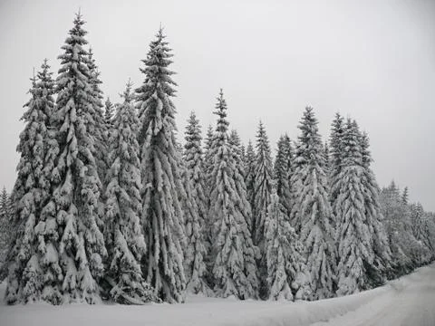 Winter scenery Stock Photos