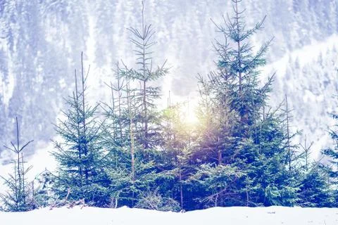 Winter scenery Stock-Fotos