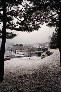 Winter scenery Stock Photos