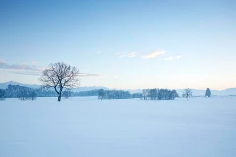 Winter scenery Stock Photos