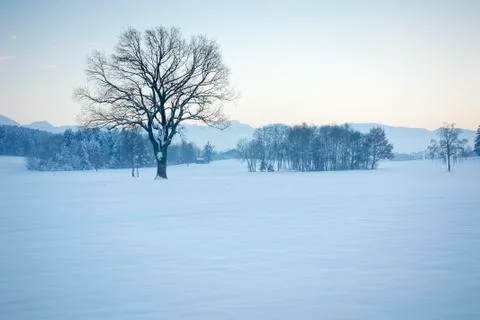 Winter scenery Stock Photos