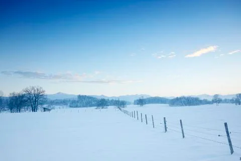 Winter scenery Stock Photos