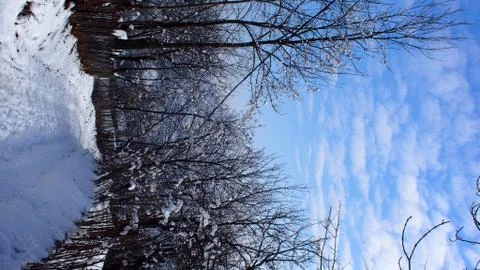 Winter scenery Stock Photos