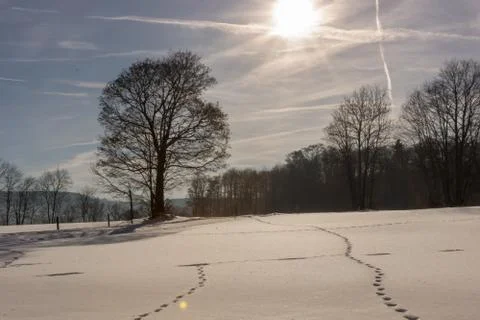 Winter scenery Stock-Fotos