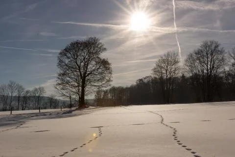 Winter scenery Foto stock