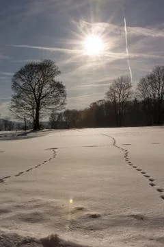 Winter scenery Foto stock