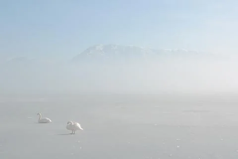 Winter scenery Foto stock